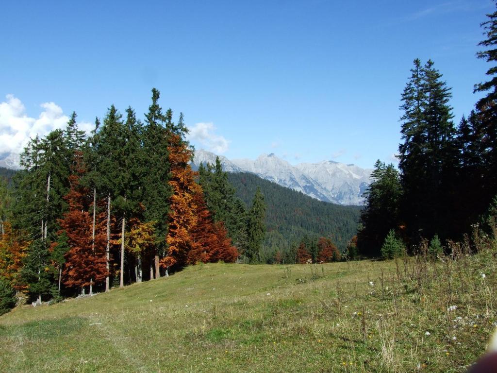 Hotel Menthof Seefeld in Tirol Pokoj fotografie