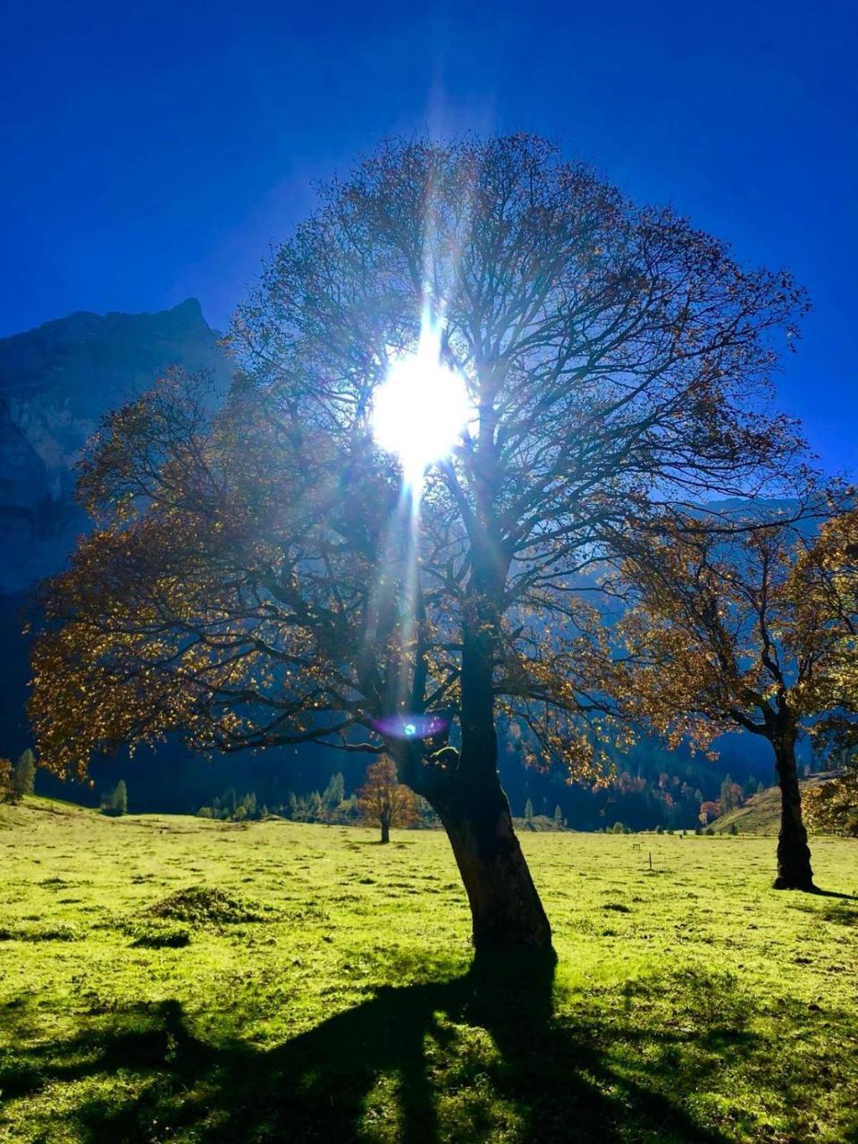 Hotel Menthof Seefeld in Tirol Exteriér fotografie
