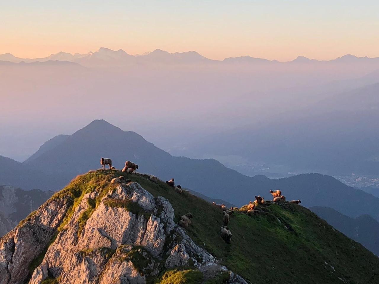 Hotel Menthof Seefeld in Tirol Exteriér fotografie