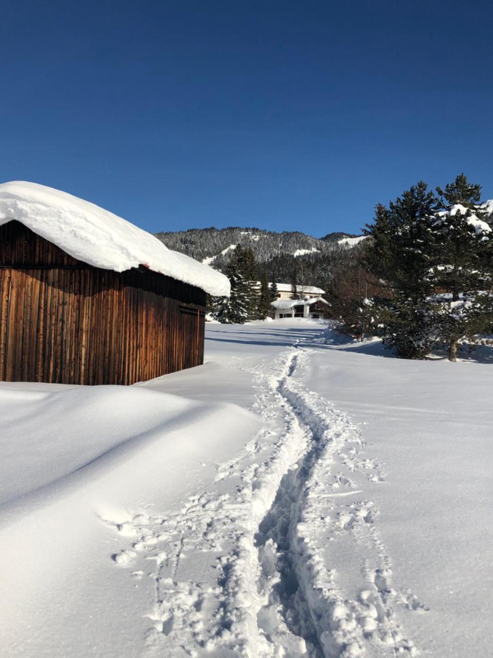 Hotel Menthof Seefeld in Tirol Exteriér fotografie