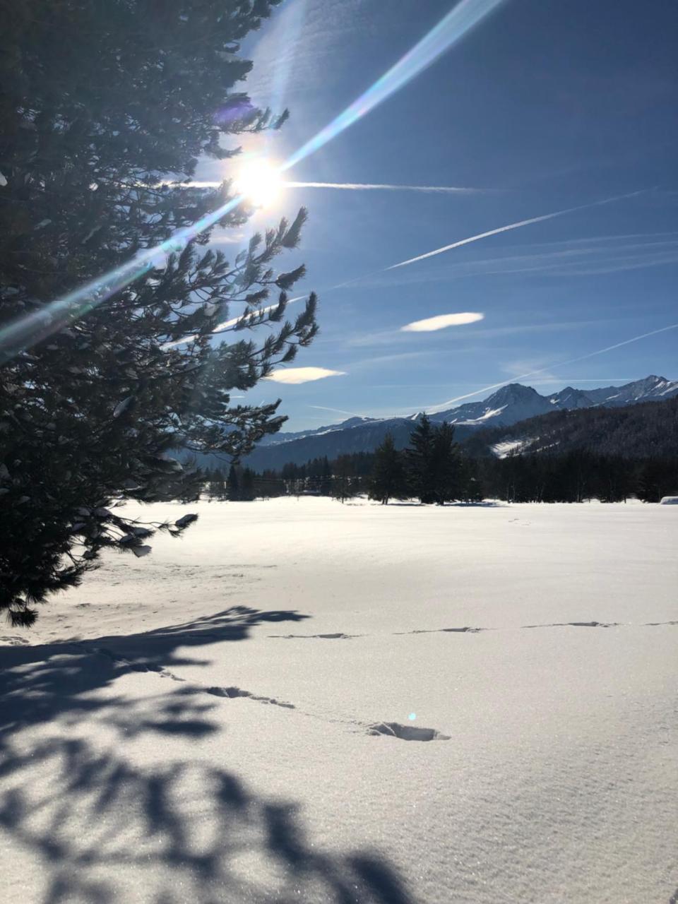 Hotel Menthof Seefeld in Tirol Exteriér fotografie